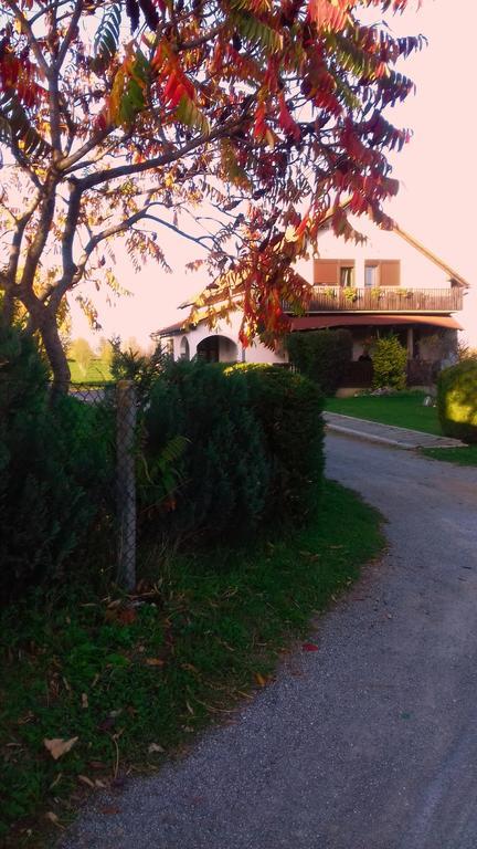 Ferienwohnung House Mihaela&Nina Selište Drežničko Exterior foto