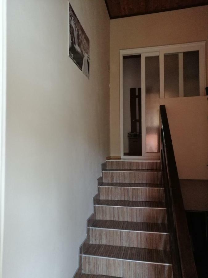 Ferienwohnung House Mihaela&Nina Selište Drežničko Exterior foto
