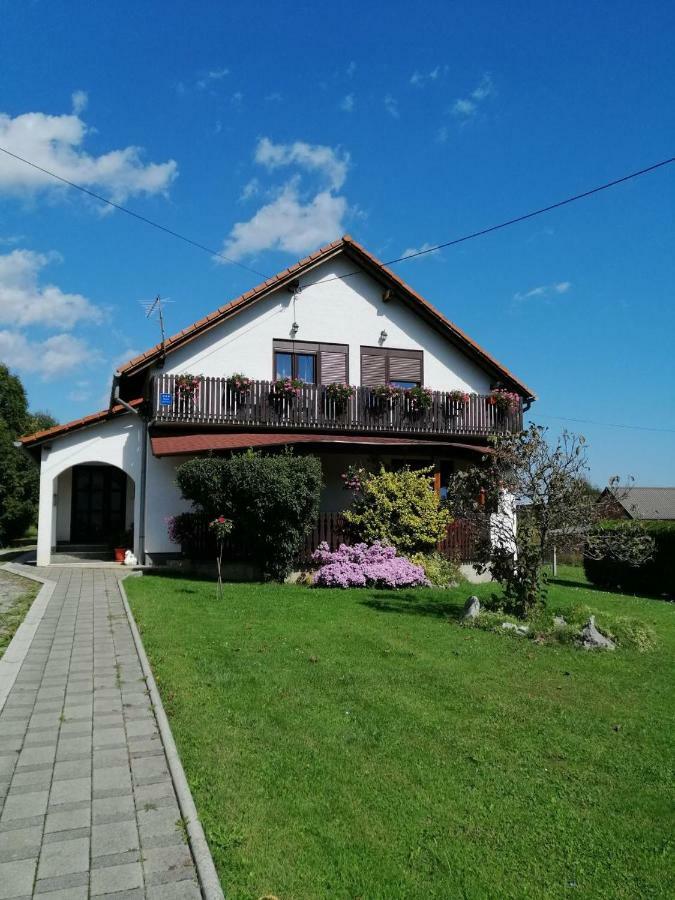 Ferienwohnung House Mihaela&Nina Selište Drežničko Exterior foto